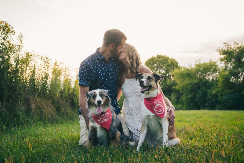 Raining Cats & Dogs: A Look at 8 Furry Friends Who made Celebrations Extra Special 1 Raining Cats & Dogs: A Look at 8 Furry Friends Who made Celebrations Extra Special 1