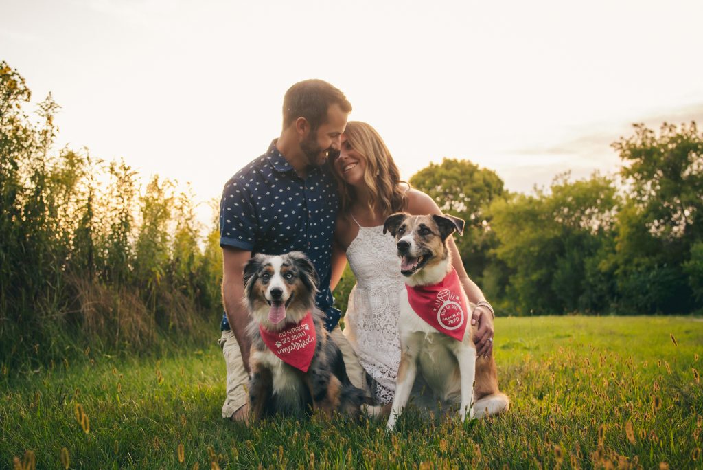 engagement shoot with two puppies